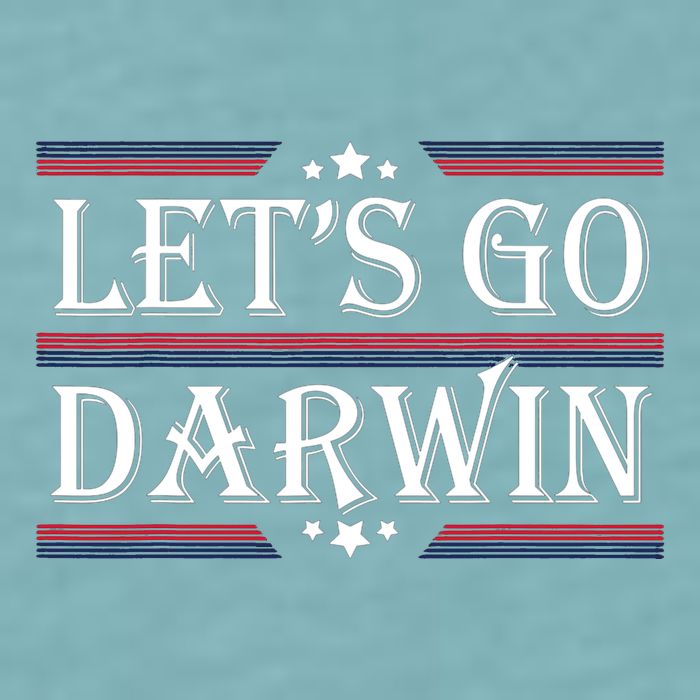 Lets Go Darwin Sarcastic Saying USA Flag Lets Go Darwin Sueded Cloud Jersey T-Shirt