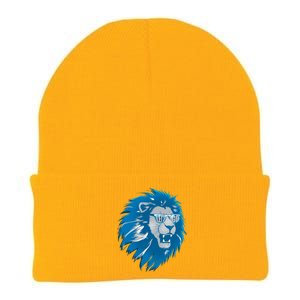 Lets Go Detroit Football Sports Fan Knit Cap Winter Beanie