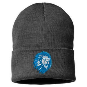 Lets Go Detroit Football Sports Fan Sustainable Knit Beanie