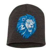 Lets Go Detroit Football Sports Fan Short Acrylic Beanie