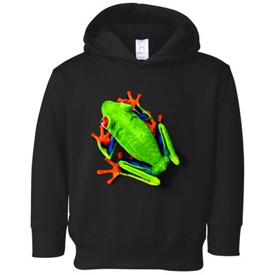 Little Green Frog Toddler Hoodie