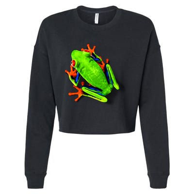 Little Green Frog Cropped Pullover Crew