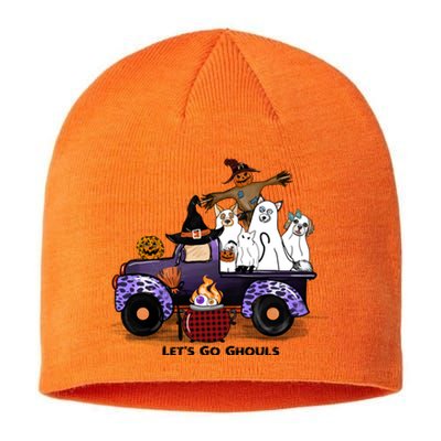 Let's Go Ghouls On Truck Funny Halloween Boo Witch Hat Cats Pumpkin Graphic Sustainable Beanie