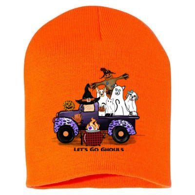 Let's Go Ghouls On Truck Funny Halloween Boo Witch Hat Cats Pumpkin Graphic Short Acrylic Beanie