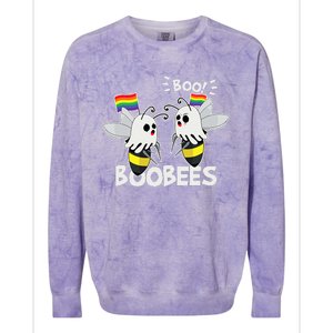 LGBT Gay Ghost Boo Bees Boobees Costume Funny Halloween Gift Colorblast Crewneck Sweatshirt