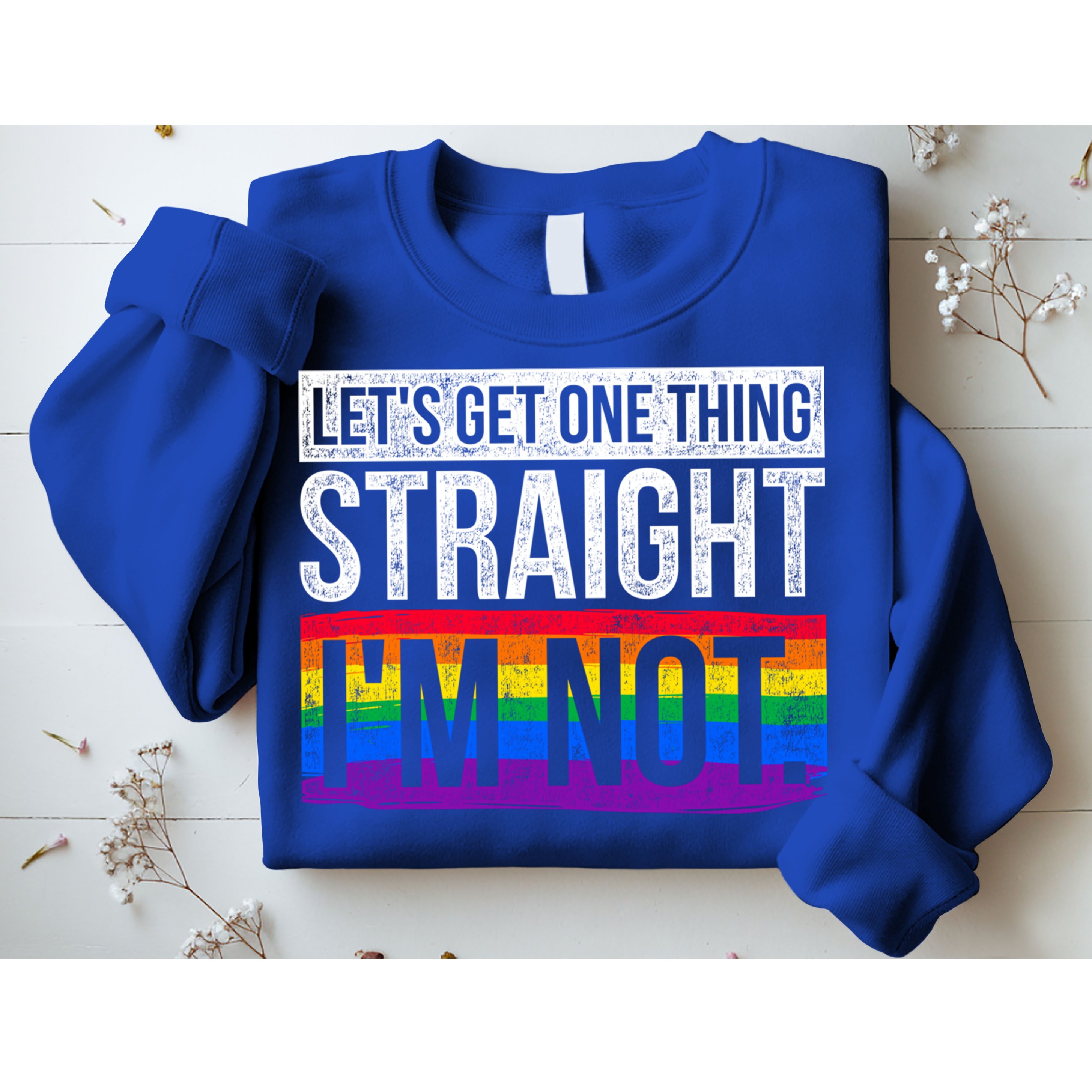 Lets Get One Thing Straight Im Not Lgbt Funny Gift Sweatshirt