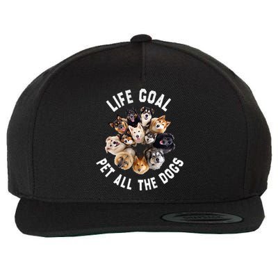 Life Goal Pet All The Dogs Funny Dog Lover Wool Snapback Cap