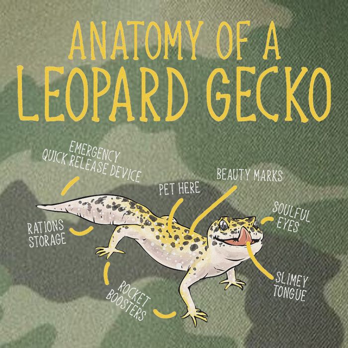 Leopard Gecko Reptile Pet Anatomy Of A Leopard Gecko Legacy Tie Dye Trucker Hat