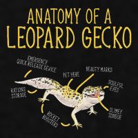 Leopard Gecko Reptile Pet Anatomy Of A Leopard Gecko Ladies PosiCharge Tri-Blend Wicking Tank