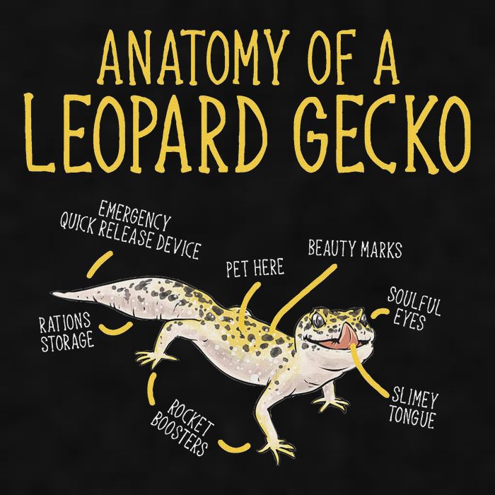 Leopard Gecko Reptile Pet Anatomy Of A Leopard Gecko Ladies PosiCharge Tri-Blend Wicking Tank