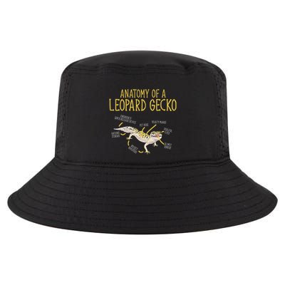 Leopard Gecko Reptile Pet Anatomy Of A Leopard Gecko Cool Comfort Performance Bucket Hat