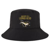 Leopard Gecko Reptile Pet Anatomy Of A Leopard Gecko Cool Comfort Performance Bucket Hat