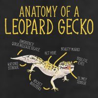 Leopard Gecko Reptile Pet Anatomy Of A Leopard Gecko Cool Comfort Performance Bucket Hat