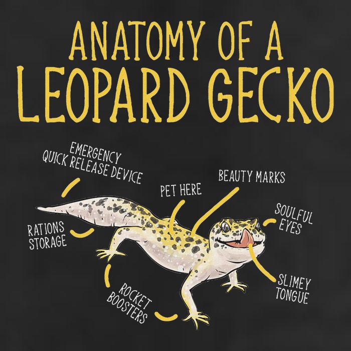 Leopard Gecko Reptile Pet Anatomy Of A Leopard Gecko Cool Comfort Performance Bucket Hat