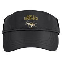 Leopard Gecko Reptile Pet Anatomy Of A Leopard Gecko Adult Drive Performance Visor