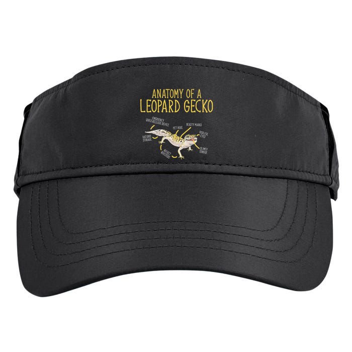 Leopard Gecko Reptile Pet Anatomy Of A Leopard Gecko Adult Drive Performance Visor