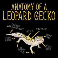 Leopard Gecko Reptile Pet Anatomy Of A Leopard Gecko Drawstring Bag