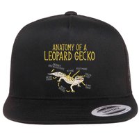 Leopard Gecko Reptile Pet Anatomy Of A Leopard Gecko Flatbill Hat