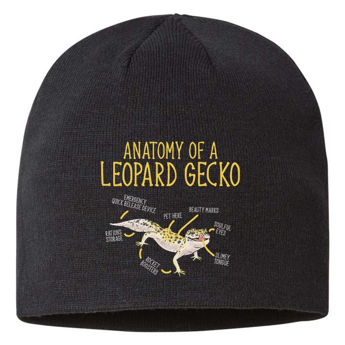Leopard Gecko Reptile Pet Anatomy Of A Leopard Gecko Sustainable Beanie