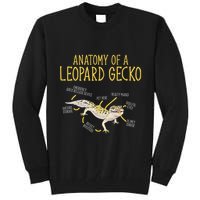Leopard Gecko Reptile Pet Anatomy Of A Leopard Gecko Tall Sweatshirt