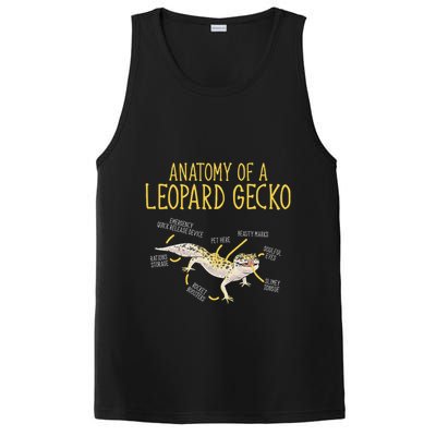 Leopard Gecko Reptile Pet Anatomy Of A Leopard Gecko PosiCharge Competitor Tank