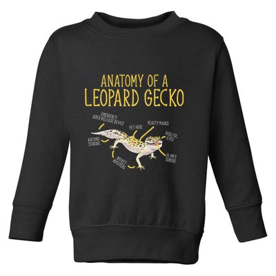 Leopard Gecko Reptile Pet Anatomy Of A Leopard Gecko Toddler Sweatshirt