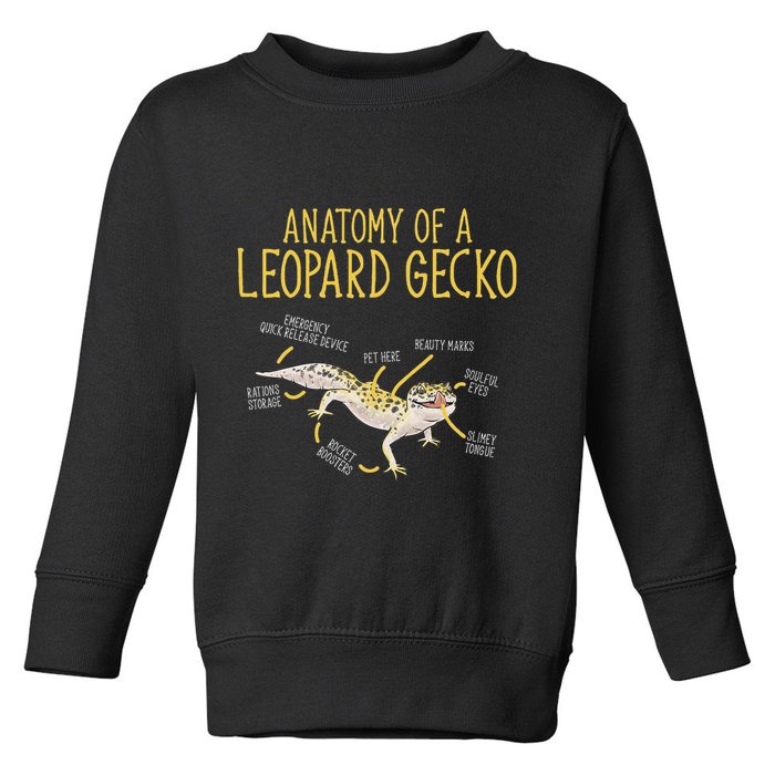 Leopard Gecko Reptile Pet Anatomy Of A Leopard Gecko Toddler Sweatshirt