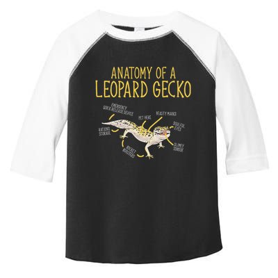 Leopard Gecko Reptile Pet Anatomy Of A Leopard Gecko Toddler Fine Jersey T-Shirt