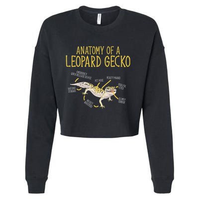Leopard Gecko Reptile Pet Anatomy Of A Leopard Gecko Cropped Pullover Crew