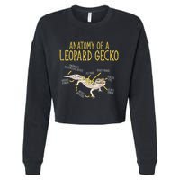 Leopard Gecko Reptile Pet Anatomy Of A Leopard Gecko Cropped Pullover Crew