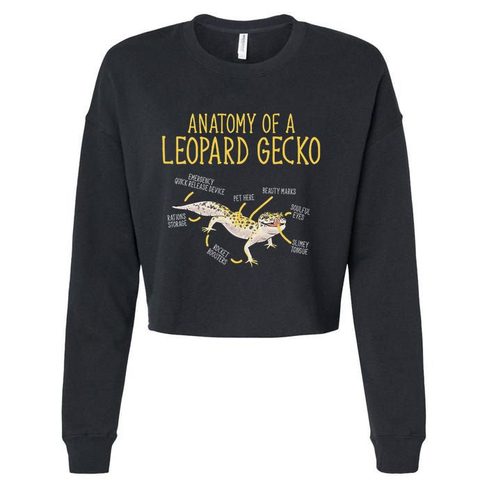 Leopard Gecko Reptile Pet Anatomy Of A Leopard Gecko Cropped Pullover Crew