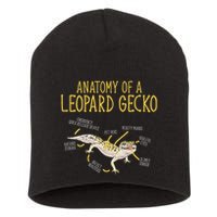 Leopard Gecko Reptile Pet Anatomy Of A Leopard Gecko Short Acrylic Beanie