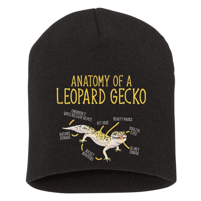 Leopard Gecko Reptile Pet Anatomy Of A Leopard Gecko Short Acrylic Beanie
