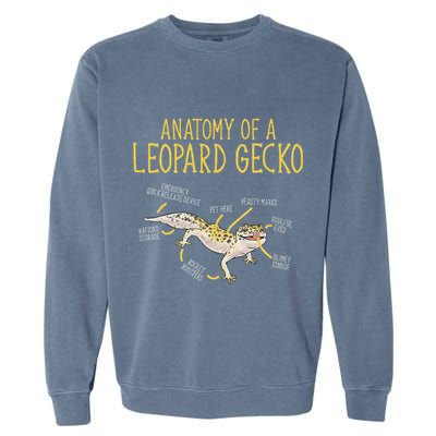 Leopard Gecko Reptile Pet Anatomy Of A Leopard Gecko Garment-Dyed Sweatshirt