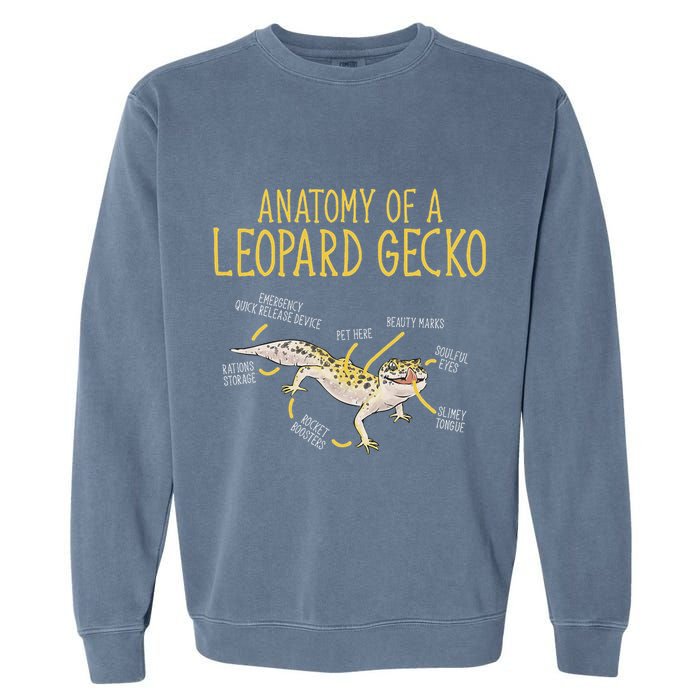 Leopard Gecko Reptile Pet Anatomy Of A Leopard Gecko Garment-Dyed Sweatshirt