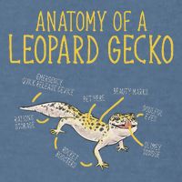 Leopard Gecko Reptile Pet Anatomy Of A Leopard Gecko Garment-Dyed Sweatshirt