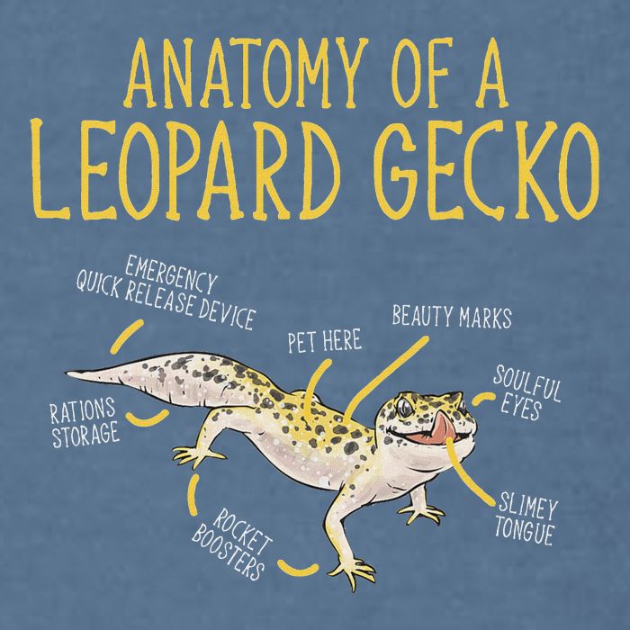 Leopard Gecko Reptile Pet Anatomy Of A Leopard Gecko Garment-Dyed Sweatshirt