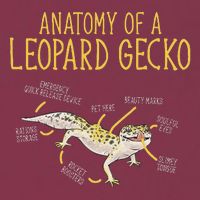 Leopard Gecko Reptile Pet Anatomy Of A Leopard Gecko 16oz Travel Tumbler