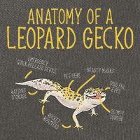 Leopard Gecko Reptile Pet Anatomy Of A Leopard Gecko Cotton Canvas Backpack