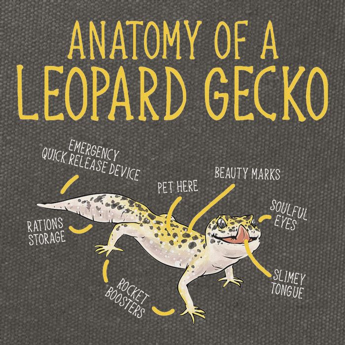 Leopard Gecko Reptile Pet Anatomy Of A Leopard Gecko Cotton Canvas Backpack