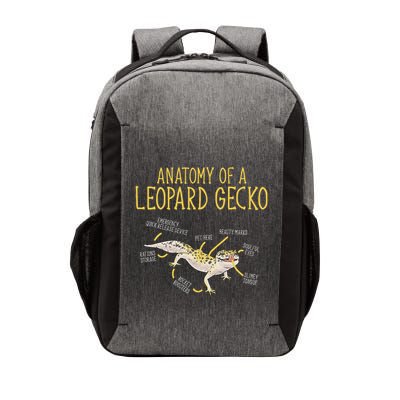 Leopard Gecko Reptile Pet Anatomy Of A Leopard Gecko Vector Backpack
