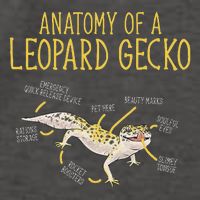 Leopard Gecko Reptile Pet Anatomy Of A Leopard Gecko Vector Backpack