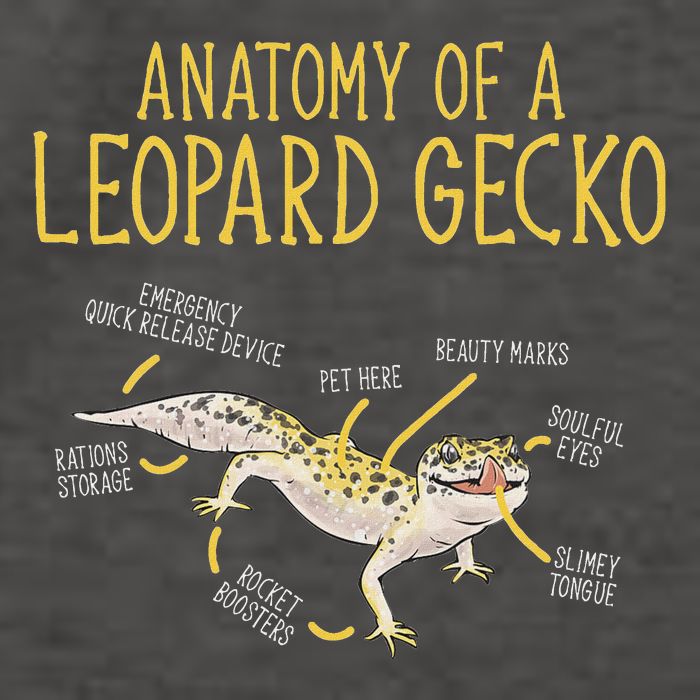 Leopard Gecko Reptile Pet Anatomy Of A Leopard Gecko Vector Backpack