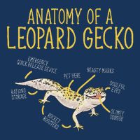 Leopard Gecko Reptile Pet Anatomy Of A Leopard Gecko Infant Baby Jersey Bodysuit