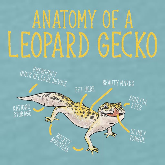 Leopard Gecko Reptile Pet Anatomy Of A Leopard Gecko Sueded Cloud Jersey T-Shirt