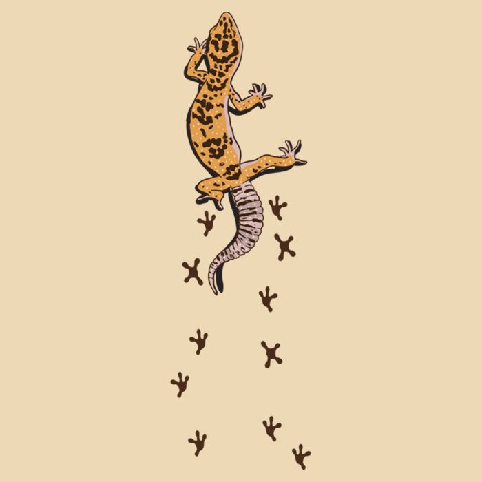 Leopard Gecko Tracks Lizard Lover Gift Meaningful Gift Drawstring Bag