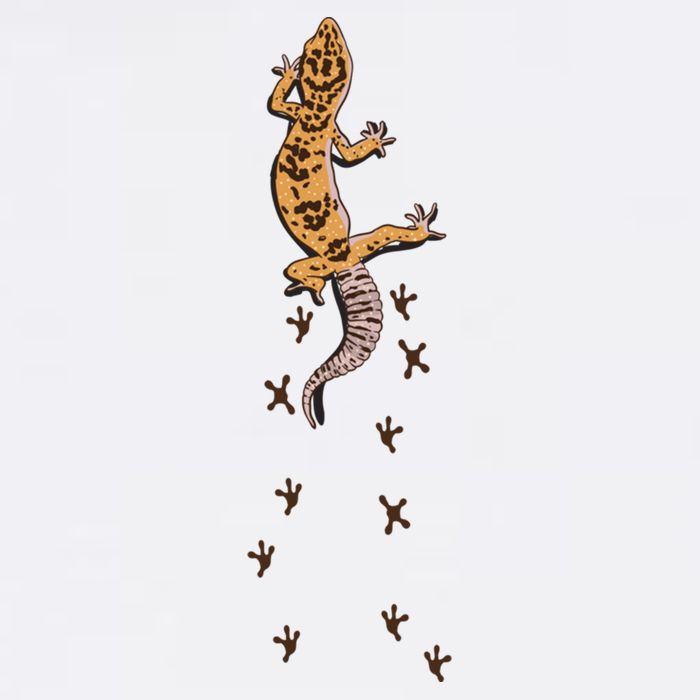 Leopard Gecko Tracks Lizard Lover Gift Meaningful Gift Cooling Performance Crew T-Shirt