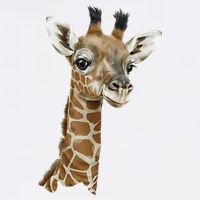 Love Giraffes Wo Giraffe Lovers 11oz C Handle Ceramic Mug