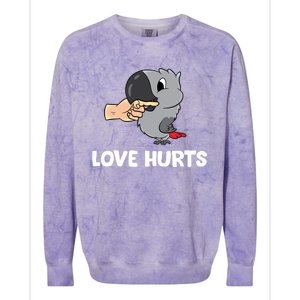 Love Hurts African Grey Parrot Love African Grey Parrots Meaningful Gift Colorblast Crewneck Sweatshirt