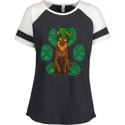 Leprechaun Havana Brown St Patricks Day Shamrock Paw Gift Enza Ladies Jersey Colorblock Tee